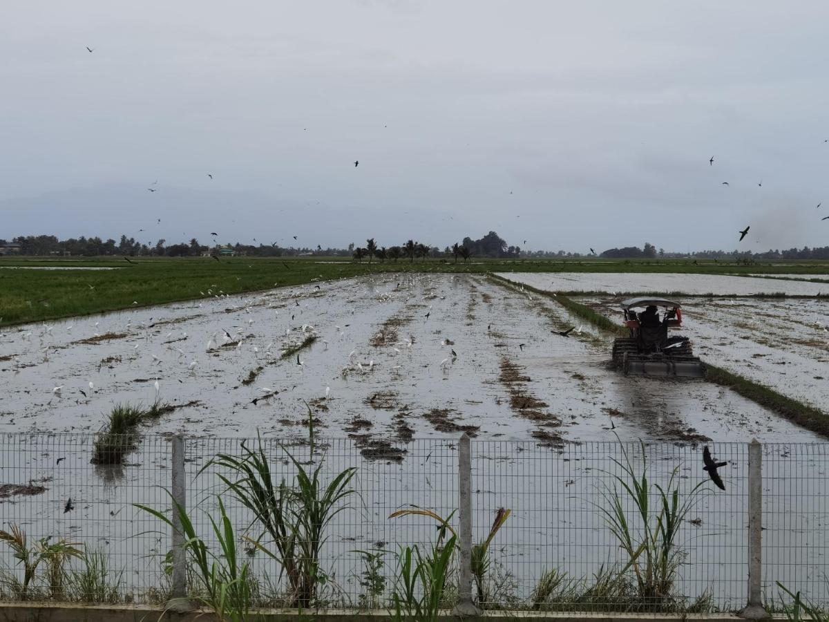 Dangau Sala D'Kontena Alor Setar Esterno foto