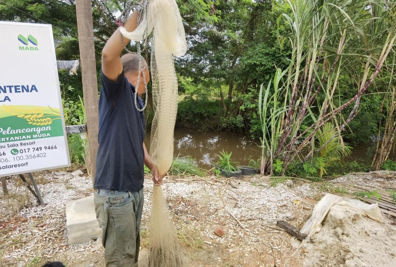 Dangau Sala D'Kontena Alor Setar Esterno foto