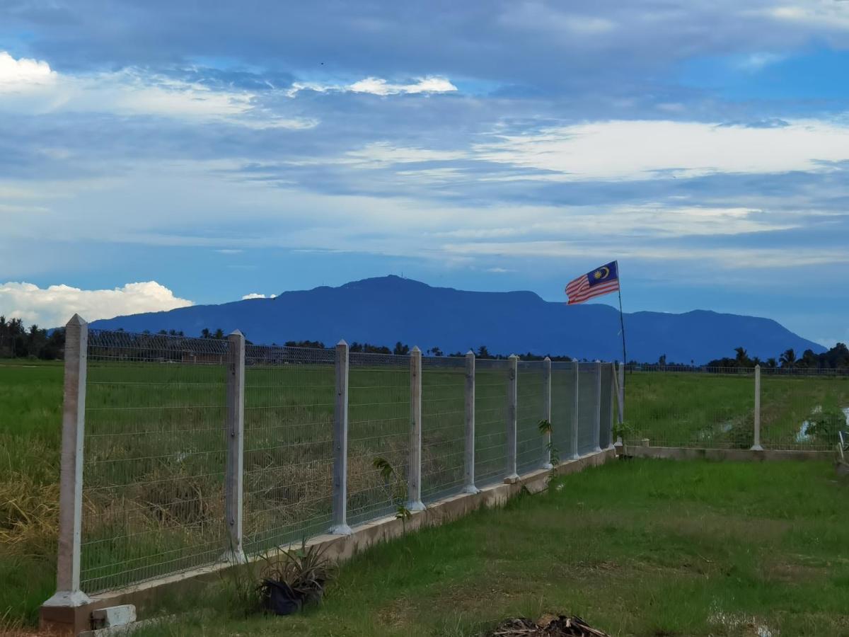 Dangau Sala D'Kontena Alor Setar Esterno foto