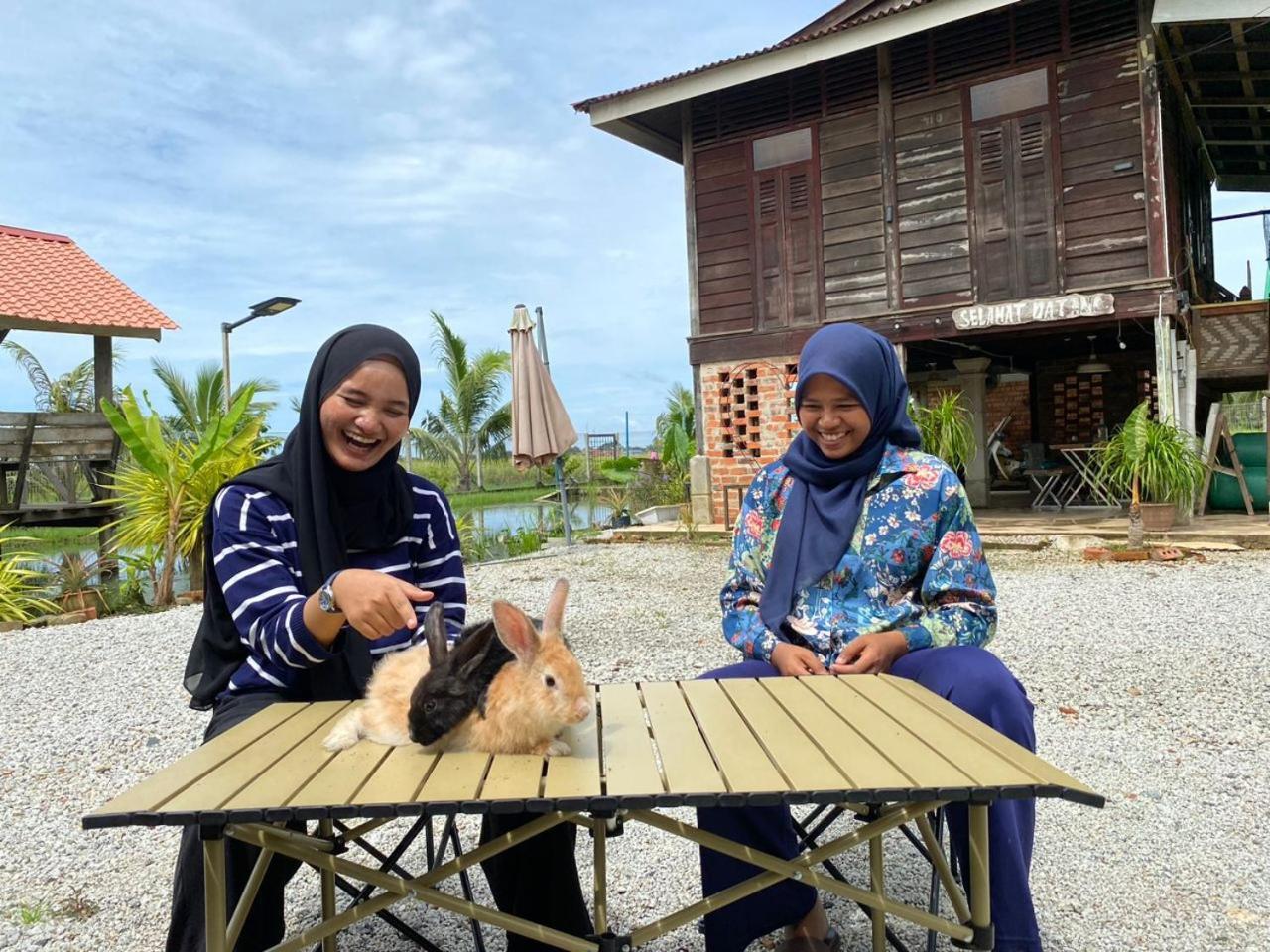 Dangau Sala D'Kontena Alor Setar Esterno foto